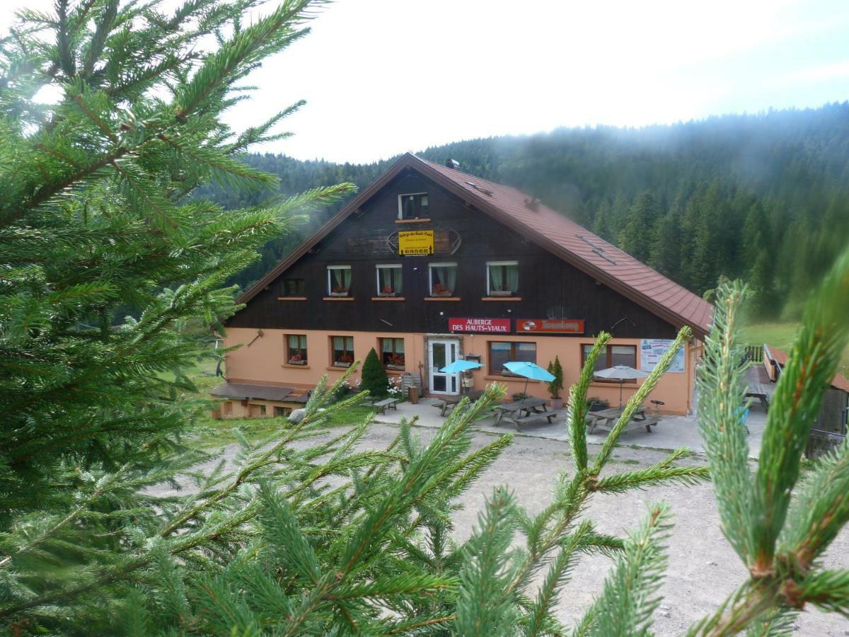 Domaine Des Hauts Viaux La Bresse Exterior foto